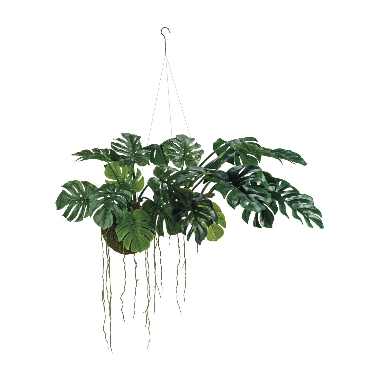 df9845.jpg?width=890&format=webp